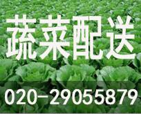 供应广州蔬菜配送公司/蔬菜配送中心供应