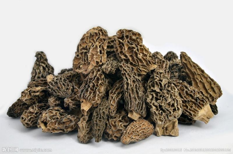 供应上海野生鸡油菌多少钱一斤 黑虎掌 松茸等一斤也批发