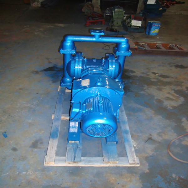供应DBY电动隔膜泵厂家  DBY电动隔膜泵厂家找上海新光明泵业 专业加工