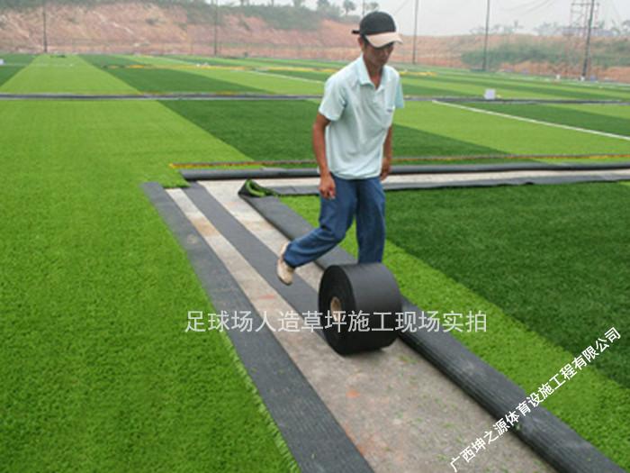 供应运动场所运动足球场人造草坪