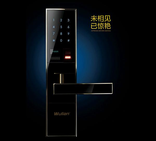 太原市智能指纹密码门锁厂家供应智能指纹密码门锁WL-FPKL-02智能安保系统指纹密码锁手机远程控制