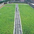 北京市植草格厂家供应植草格