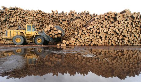 泰国橡胶木上海木材进口清关公司批发