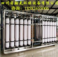 供应国内大型水处理厂双级反渗透纯水机批发-四川水处理设备排名厂家