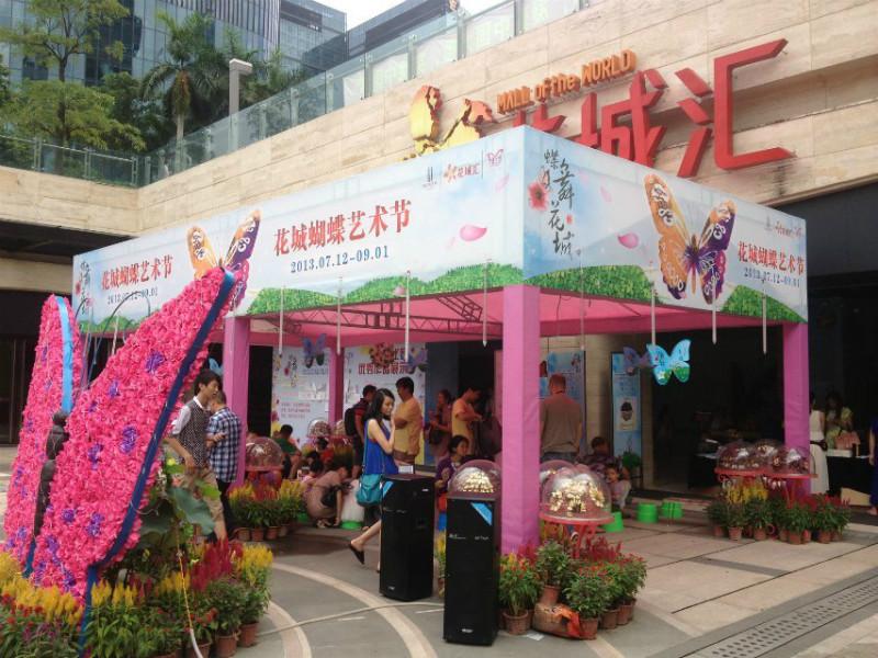 供应蝴蝶展览活动策划-广西南宁大捷龙文化传媒