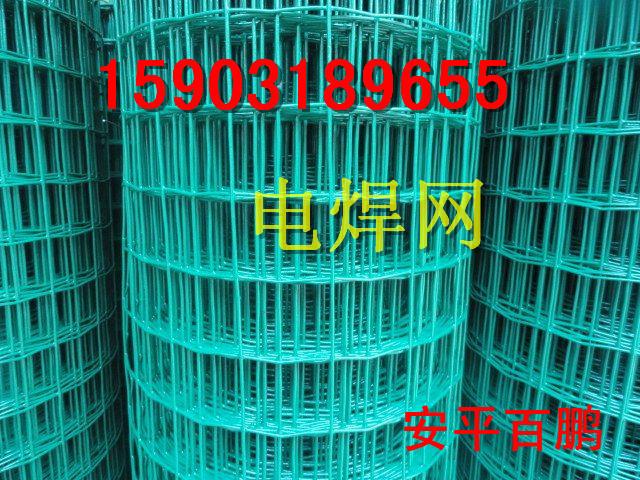 供应甘肃红山电焊网 5x5电焊网 隔离网