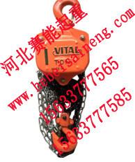 供应HS-VTVITAL型手拉葫芦价格VITAL手拉葫芦生产厂家手拉葫芦批发