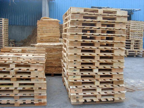 东莞杉木优质供应商直销批发价格