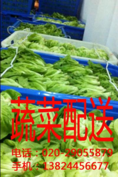 供应用于食堂蔬菜配送的有机农产品配送/永和有机蔬菜配送