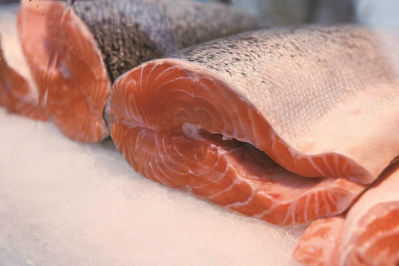 供应用于三文鱼的铭亿食品批发智利进口冰鲜三文鱼