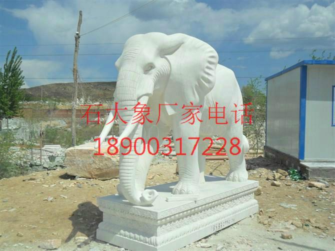 泉州市石雕现代大象 石雕汉白玉大象厂家厂家