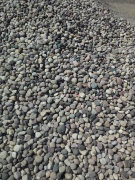 长江天然鹅卵石园林铺路专用鹅卵石供应长江天然鹅卵石园林铺路专用鹅卵石