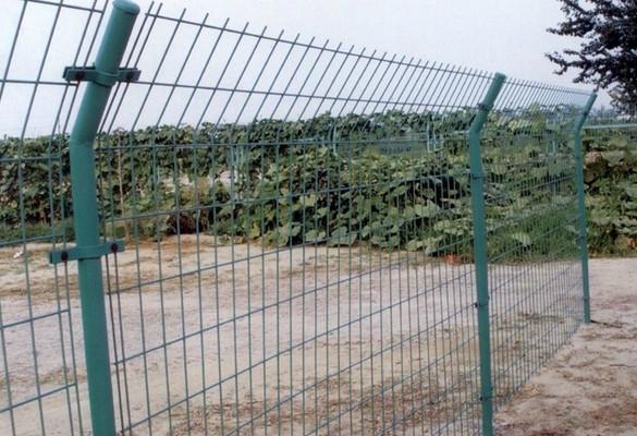 供应双边丝护栏网-隔离栅厂家销售-林园防护网果园隔离网图片
