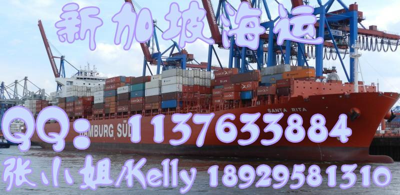 供应出口海运代理广州-新加坡海运   国际海运