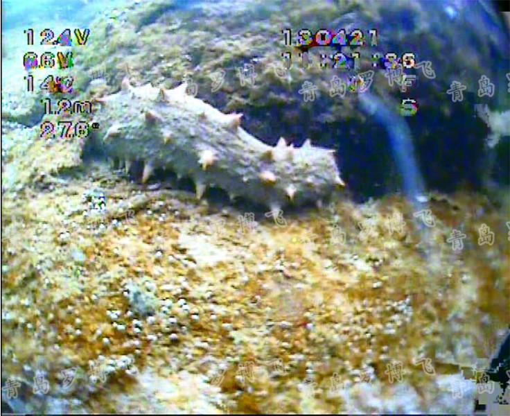 高清水下摄像机水下机器人水下录像批发