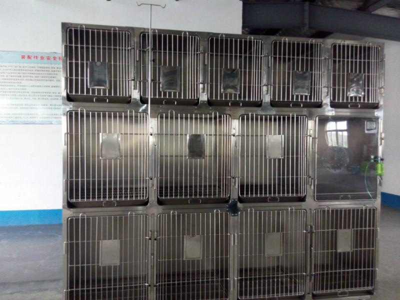 供应带氧气舱13组动物不锈钢笼具