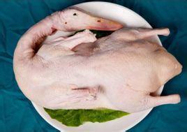 潍坊白条鸭厂：采购实惠的白条鸭就找亿宝园食品白条鸭篅