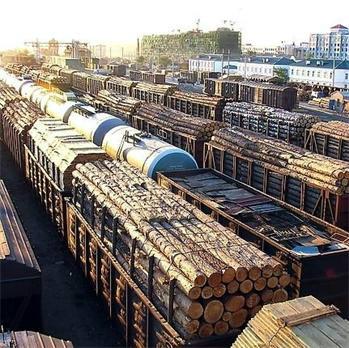 大连绿檀木材进口服务木材进口报关批发