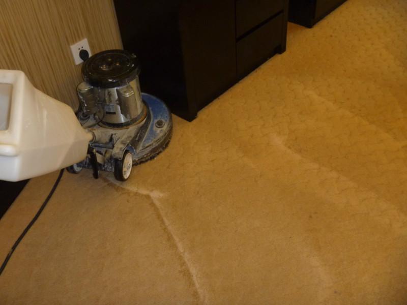 供应绍兴宾馆地毯清洗、地毯清洁、地毯除味处理