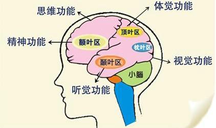 供应忆触记发帮助孩子提高记忆力